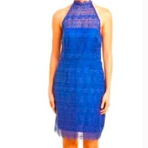 BB Dakota Lace Overlay Sleeveless Dress Zip Back